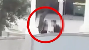 Úc công bố video cảnh sát bắn hạ kẻ xả súng ở bãi biển