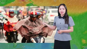 Thời tiết đêm 2 ngày 3-12: Bắc Bộ tiếp tục rét, Trung Bộ mưa to, Nam Bộ mát mẻ