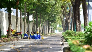 Sắp có tuyến đường dành riêng xe đạp đầu tiên tại TP.HCM