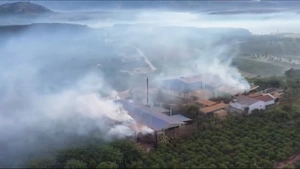 Hàng chục hộ dân khổ sở vì khói bụi, tiếng ồn từ các lò sấy cà phê mọc trái phép