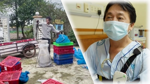 Góc nhìn trưa nay: Phát hiện gần 1.000kg rắn hổ mang trên xe khách; Hội chứng ngưng thở khi ngủ