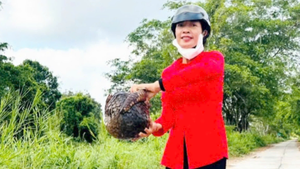 Phát hiện tê tê gần 6kg đang bò trên đường, đem thả về Vườn quốc gia U Minh Thượng