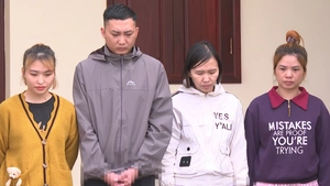 Bắt 22 nghi phạm trong đường dây lừa đảo chiếm đoạt trên 120 tỉ đồng của hơn 1.000 người