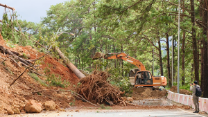 Đèo Prenn sạt lở, đất đá và nhiều cây thông ngổn ngang lấp toàn bộ mặt đường