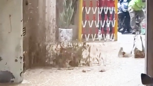 Vì sao 'phụ gia' trào lên mặt đất khi đào hầm dự án metro Nhổn - ga Hà Nội?