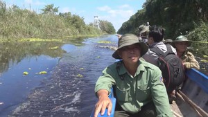 Góc nhìn trưa nay | ‘Biệt đội’ chạy vỏ lãi canh lửa giữ ‘kho báu’ Vườn quốc gia U Minh Thượng