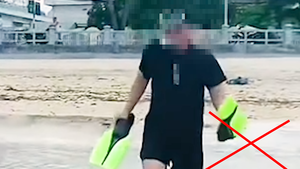 Lan truyền clip ngắm cá, san hô ở biển Hòn Chồng: Ban Quản lý vịnh Nha Trang nói gì?