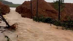 Vỡ đập thủy lợi chứa 500.000m³ nước ở Quảng Bình, đưa xe múc gia cố chặn dòng chảy