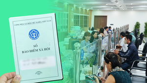 Lao động 'bán thời gian lương cao' sẽ phải tham gia BHXH bắt buộc
