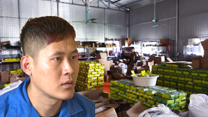 Bắt chủ xưởng làm giả thương hiệu 'Chè Thái Nguyên', thu giữ 9,2 tấn sản phẩm