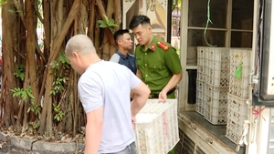 Tạm giữ 24.000 quả trứng không rõ nguồn gốc ở Lạng Sơn