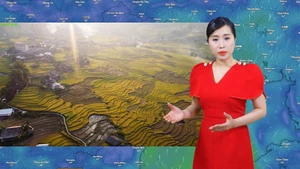 Thời tiết đêm 7 ngày 8-6: Bắc Bộ, Trung Bộ sau mưa có nơi nắng nóng 38 độ C; Nam Bộ mưa chiều