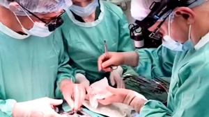 Video bác sĩ ở Kiev lái xe chở quả tim xuyên bom đạn, kịp cấy ghép cứu sống bé gái