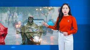 Thời tiết đêm 2 ngày 3-7: Miền Nam nắng gián đoạn, chiều tối mưa; Miền Bắc mưa to