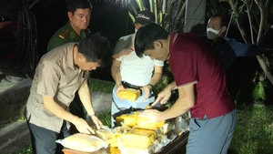 Bắt giữ người đàn ông mang theo súng, lái ô tô chở 45kg ma túy
