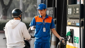 Xăng E10: Đâu là nơi thí điểm, loại xe phù hợp, thời gian áp dụng bắt buộc?
