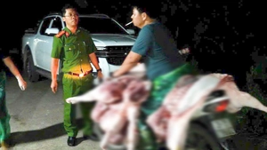 Đường dây thu gom heo bệnh mỗi ngày giết mổ hơn 50 con tuồn ra chợ, nhà hàng ở Hà Nội