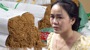 Triệt phá đường dây mua bán ‘cỏ Mỹ’ lớn nhất Đà Nẵng, bắt 5 người