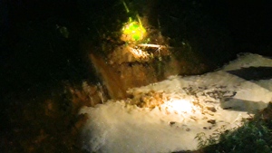 Nửa đêm người dân soi đèn bắt quả tang trang trại nuôi 600 con heo lén xả thải