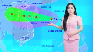 Thời tiết đêm 23 ngày 24-8: Bão số 5 hướng vào miền Trung, có thể giật cấp 15
