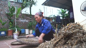 Bà nội đi làm thuê nuôi ước mơ đại học cho cháu gái sau hàng loạt biến cố