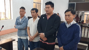 Phạt tù 4 người liên quan vụ dùng hóa chất độc hại để sản xuất giá đỗ