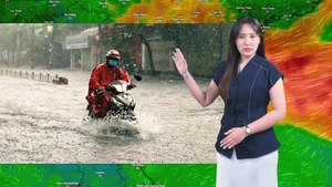 Thời tiết đêm 25 ngày 26-9: Bão số 9 Ragasa vừa tan, bão Bualoi tiếp nối; Bắc Bộ và Nam Bộ có mưa to