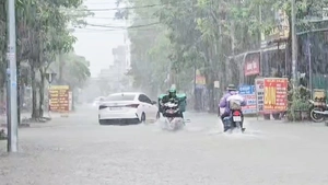 Mưa lớn trước bão Bualoi, nhiều tuyến đường ở Nghệ An ngập sâu