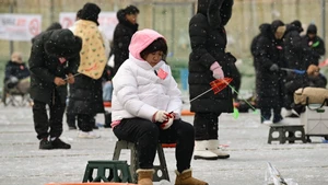 Xem cả ngàn người câu cá hồi trên băng, tay không bắt cá