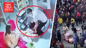 Bản tin 30s Nóng: Người phụ nữ bị đâm tại tiệm làm tóc; Cô gái đăng tin tìm người mổ lợn và cái kết