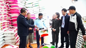 Xử lý giám đốc công ty 'hô biến' gạo thường thành gạo đặc sản bán giá cao