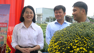 Nữ bí thư xã Chợ Lách livestream tại ruộng hoa, phụ bà con 'chốt đơn' cúc mâm xôi nở sớm