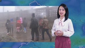 Thời tiết đêm 19 ngày 20-1: Bắc Bộ sắp lạnh 6 độ C, Trung Bộ và Nam Bộ mưa dông vài nơi