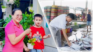 Góc nhìn trưa nay: Đổi pin đã sử dụng lấy cây xanh; Ngư dân Cà Mau trúng cá biển cuối năm