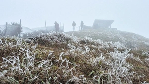 Hình ảnh băng giá ở Mẫu Sơn khi nhiệt độ giảm sâu dưới 0 độ C