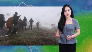 Thời tiết đêm 23 ngày 24-1: Bắc Bộ rét đậm, rét hại trên diện rộng; Nam Bộ ngày nắng, đêm có mưa rào
