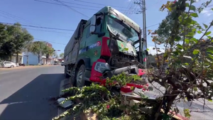 Ô tô tải tông 2 xe dừng đèn đỏ, làm chết 3 con bò, gãy một trụ đèn mới dừng lại