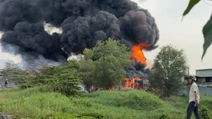 Cháy nhà xưởng chứa pallet nhựa ở TP.HCM, nhiều tài sản bị thiêu rụi