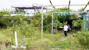 Dự án đường dẫn vào cầu Giá Rai 'đắp chiếu' hơn 6 năm, vì sao?