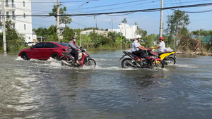 Lũ thượng nguồn, mưa kết hợp triều cường gây ngập đô thị ven sông Đồng Tháp