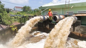 Vận hành máy bơm công suất lớn giải cứu nhiều vườn bưởi bị ngập ở xã Tân Vĩnh Lộc