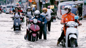 Triều cường ở TP.HCM chiều tối 11-10: Xe cộ chết máy, trẻ em bơi lội trước sân nhà