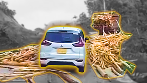 Khoảnh khắc xe tải bất ngờ đổ gỗ xuống đường trên đèo Liêu, ô tô phía sau thoát nạn