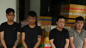 Khởi tố, bắt tạm giam nhóm trộm chó liên tỉnh