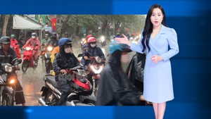 Thời tiết đêm 22 ngày 23-10: Bắc Bộ sáng sớm có sương mù; Trung Bộ và Nam Bộ mưa rào đến mưa to 