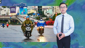Thời tiết đêm 25 ngày 26-10: Cả 3 miền ngày nắng, chiều tối và đêm có mưa rào và dông vài nơi