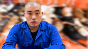 Lời xin lỗi của chủ quán thịt chó tiếp tay cho nhóm trộm chó liên tỉnh