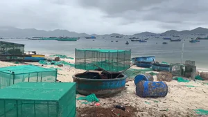 Bãi biển ở vịnh Cam Ranh ngập rác từ lồng nuôi tôm hùm