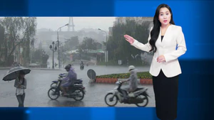 Thời tiết ngày và đêm 31-10: Bắc Bộ ngày nắng, Trung và Nam Bộ đón mưa dông diện rộng