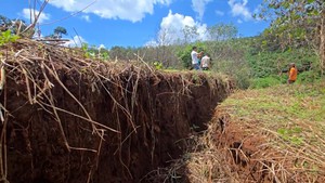 Vết nứt 'nuốt chửng' gần 1ha đất và cây trồng ở Gia Lai chưa rõ nguyên nhân